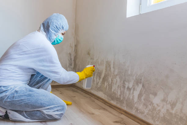 Licensed Mold Testing service in Durham, NC - WQB Mold Removal