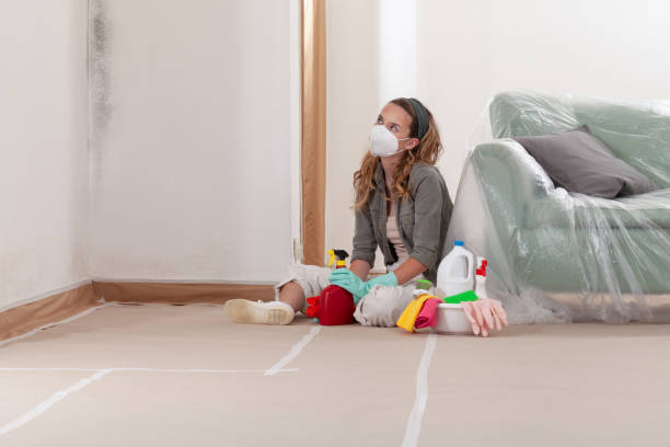 Reliable Mold Testing contractor in Durham, NC by WQB Mold Removal