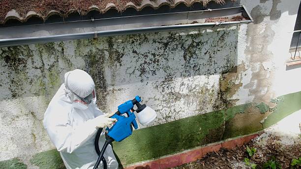 Top rated local Mold Testing specialists in Durham, NC